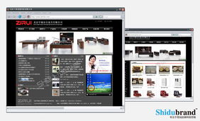 北京網站建設案例展示 洞察行業趨勢，打造卓越數字形象